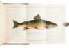 Brook Trout Fishing. An Account of a Trip of the Oquossoc Angling Association to Northern Maine in June, 1869. - 7