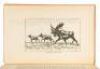 Moose Hunting in Alaska, Wyoming, and Yukon Territory - 5