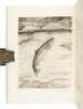 Fish by Schaldach: Collected Etchings, Drawings and Water Colors of Trout, Salmon and Other Game Fish - 3