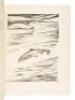 Fish by Schaldach: Collected Etchings, Drawings and Water Colors of Trout, Salmon and Other Game Fish - 9