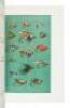 Streamer Fly Tying and Fishing [&] Atlantic Salmon Flies and Fishing - 6