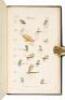 The Angler's Vade Mecum, Containing a Descriptive Account of the Water Flies, Their Seasons, and the Kind of Weather that brings them most on the Water...to which is added, A Description of the Different Baits Used in Angling, and Where Found - 6