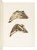 Brook and River Trouting: A Manual of Modern North Country Methods - 6