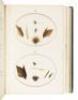 Brook and River Trouting: A Manual of Modern North Country Methods - 16