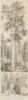 The Mammoth Tree Grove, Calaveras County California. Lapham & Haynes prop.rs Sketched from nature by T.A. Ayres - 4