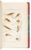 Blacker's Art of Flymaking &c. Comprising Angling & Dyeing of Colours. With Engravings of Salmon & Trout Flies Shewing the Process of the Gentle Craft as Taught in the Pages. With Descriptions of Flies for the Season of the Year as They Come Out on the Wa - 6
