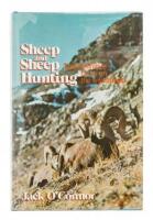 Sheep and Sheep Hunting