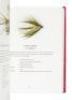Irish Mayflies: A Fly-fisher's Guide - 9