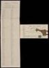 Archive of approx. 60 letters from William Hibbard, serving in Co. B, 160th Regt. New York Volunteers, to his wife Delia Hibbard, of Palmyra, New York - 3