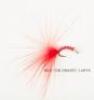 The Trout-Fly Patterns of John Goddard - 7