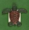 Cheloniidae: Sea Turtles - 3