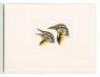 Songbirds - 4