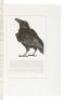 The Birds and Beasts of Shakespeare - 6