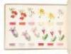 Lessons in Flower Painting. A Series of Easy and Progressive Studies, Drawn and Coloured After Nature - 12