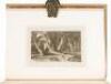 Interesting selections from animated nature, with illustrative scenery; designed and engraved by William Daniell, A.R.A - 6