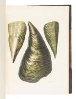 Illustrations of the Conchology of Great Britain and Ireland