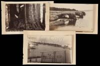 Three albumen photographs of Santa Cruz area