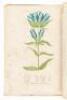 American Medical Botany, being a collection of the Native Medical Plants of the United States, containing their Botanical History and Chemical Analysis, and properties and uses in Medicine, Diet, and the Arts - 6