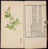 Mian Ye Tu Shuo [An Illustrated Book of the Cotton Industry]