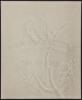 The Handmade Papers of Japan: The Watermark Collection