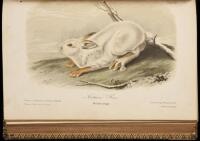 The Quadrupeds of North America
