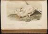 The Quadrupeds of North America