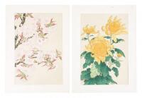 Twenty-two color woodblock botanical prints by Shodo Kawarazaki