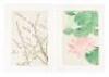 Twenty-two color woodblock botanical prints by Shodo Kawarazaki - 4
