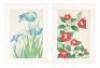 Twenty-two color woodblock botanical prints by Shodo Kawarazaki - 7