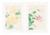 Twenty-two color woodblock botanical prints by Shodo Kawarazaki - 8