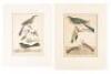 Six hand-colored copper-engraved ornithological plates from drawings by Alexander Wilson