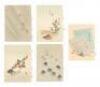 Japanese Fairy Tales - 2