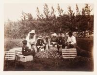 Albumen photograph of eight African American men, women and children seated in a field peeling and packing onions