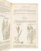 The Herball or Generall Historie of Plantes. Gathered by John Gerarde of London Master in Chirurgerie. Very much Enlarged and Amended by Thomas Johnson, Citizen and Apothecarye of London - 6