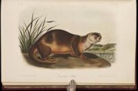 The Quadrupeds of North America. Volume III.