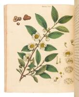 The Natural History of the Tea-Tree, with observations on the Medical Qualities of Tea, and on the Effects of Tea-Drinking.