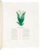 Album of Flowers (cover title) - 5