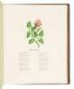 Album of Flowers (cover title) - 7