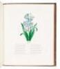 Album of Flowers (cover title) - 10