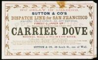 CARRIER DOVE