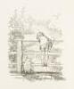 The House at Pooh Corner - 5