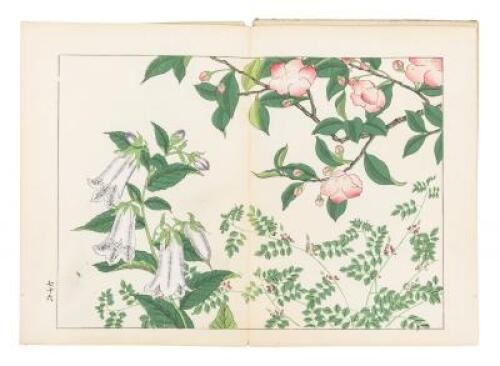 Six Chinese and Japanese illustrated volumes