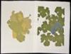 Lot of 9 Linoleum-Block Prints of grapes and other botanical subjects, each signed, titled and numbered in pencil - 5