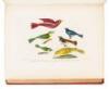 American Ornithology; or, The Natural History of the Birds of the United States - 4