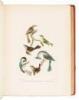 American Ornithology; or, The Natural History of the Birds of the United States - 6