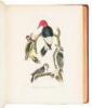 American Ornithology; or, The Natural History of the Birds of the United States - 7