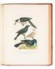 American Ornithology; or, The Natural History of the Birds of the United States - 9