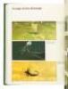 The Trout And The Fly: A New Approach - 11