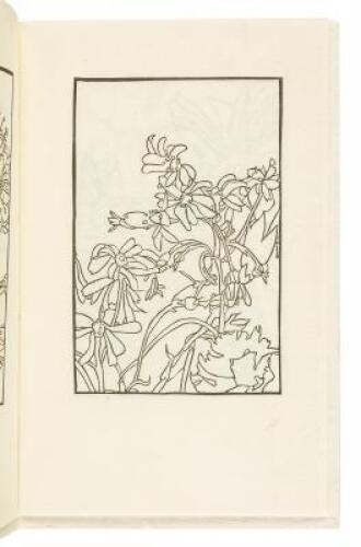 Flowers: A First Coloring Book
