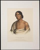 O-Hya-Wa-Mince-Kee A Chippewa Chief